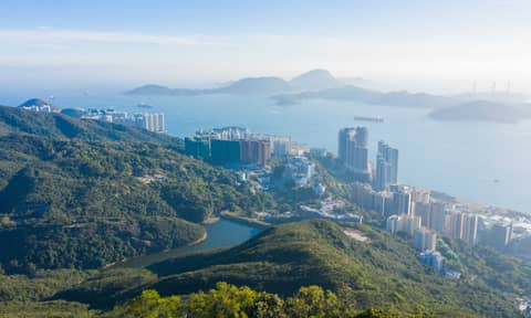 Croucher Ecology | D. Natural wonder: on Hong Kong Island