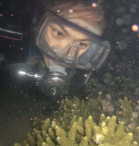 Croucher Ecology | Apple observing spawning in the field. Photo: Ivan Leung