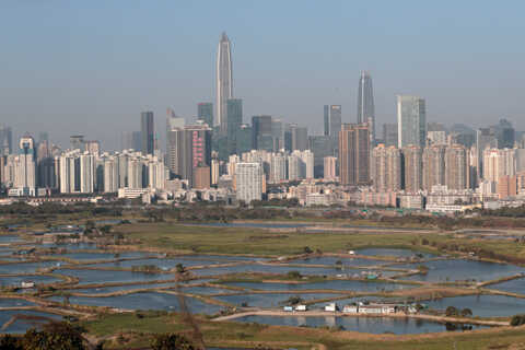 Croucher Ecology | Fish ponds at Ma Tso Lung, with a backdrop of Shenzhen
