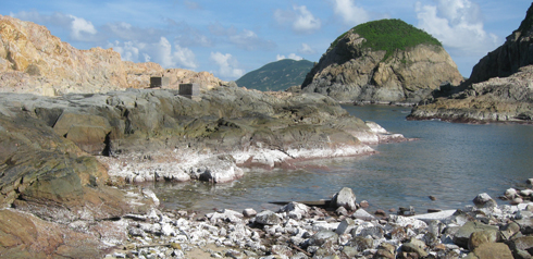 Croucher Ecology | Coralline algae bleached white by the summer sun at Cape d'Aguilar